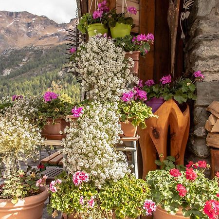 Hotel & Restaurant Perret - Mountain People Вальгризанш Экстерьер фото